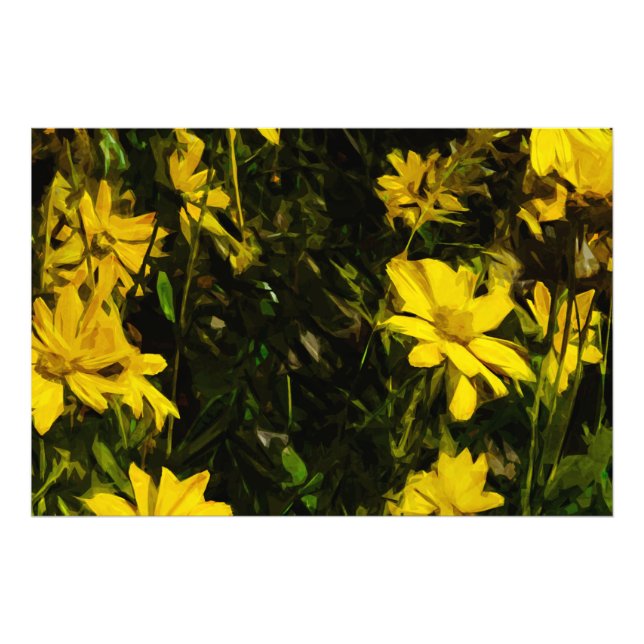 Arrowleaf Balsamroot Yellow Wildflower Abstract Photo Print (Front)