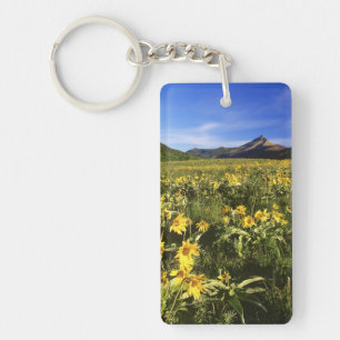 Arrowleaf balsomroot covers the praire with keychain