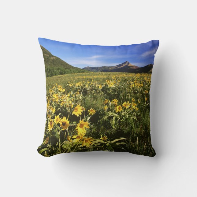 Arrowleaf balsomroot covers the praire with throw pillow (Front)