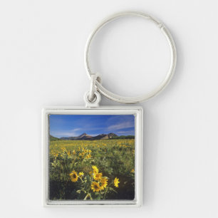 Arrowleaf balsomroot wildflowers in Waterton 2 Keychain