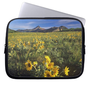 Arrowleaf balsomroot wildflowers in Waterton 2 Laptop Sleeve