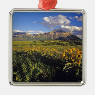 Arrowleaf balsomroot wildflowers in Waterton Metal Ornament