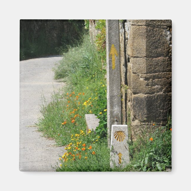 Arrows and Shell Magnet (Front)