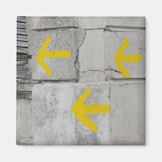 Arrows on the Camino Magnet