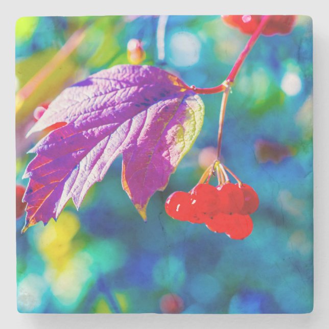 Arrowwood Beauty Stone Coaster (Front)