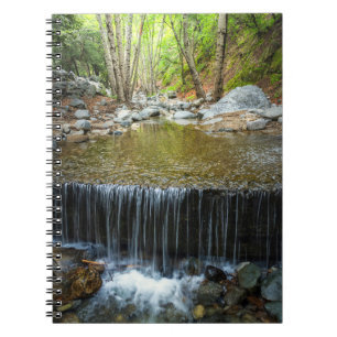 Arroyo Flow Notebook