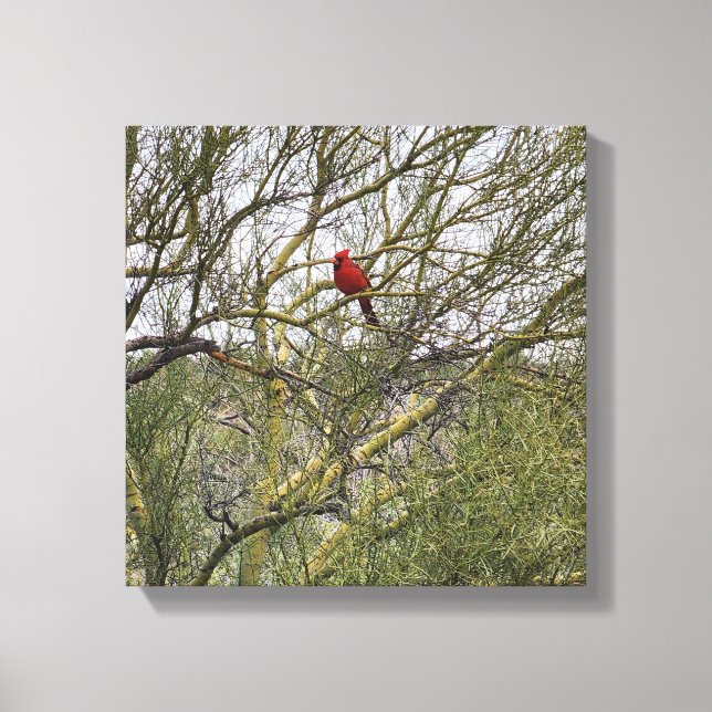 Art Canvas Cardinal Print (Front)
