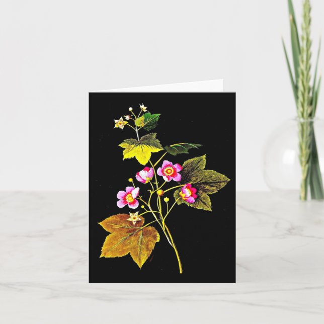 Art carte pour notes-Botanique Mary Delany 4 (Devant)