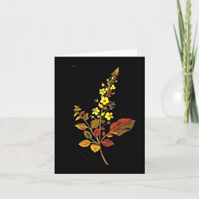 Art carte pour notes-Botanique Mary Delany 8 (Devant)