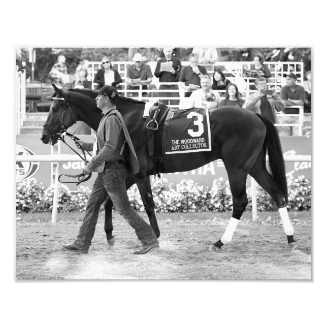 Art Collector Photo Print (Front)