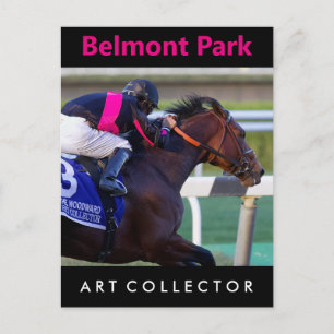 Art Collector & Saez Postcard