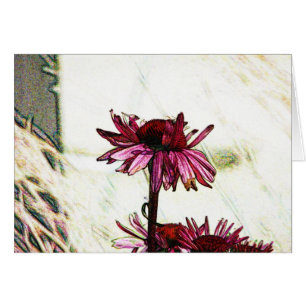 Art Coneflower