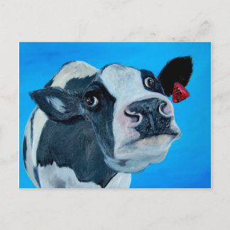 art cow nosey fresian postcard