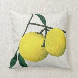Art cushion Lemons - throw pillow