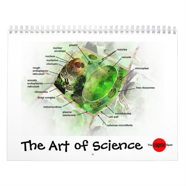 Art de calendrier de la Science (Protection)