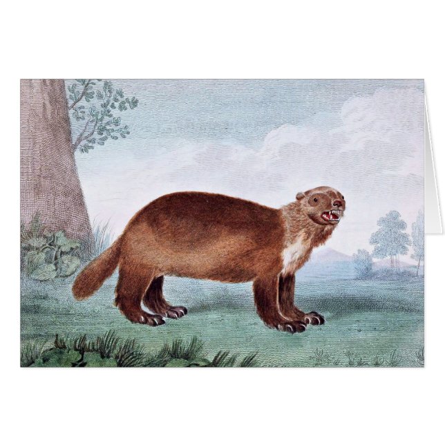 Art de cru de Wolverine (Devant horizontal)