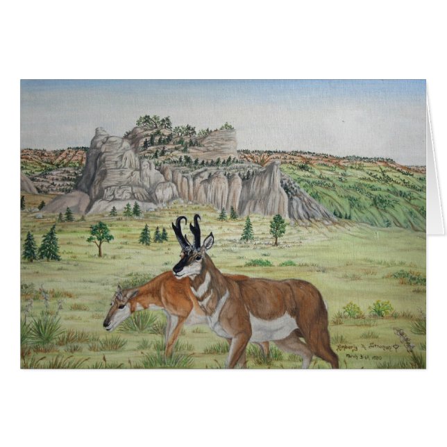 Art de faune d'antilope de Pronghorn (Devant Horizontal)