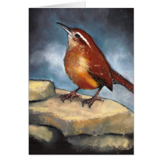 Art de faune : Roitelet de Caroline sur des roches