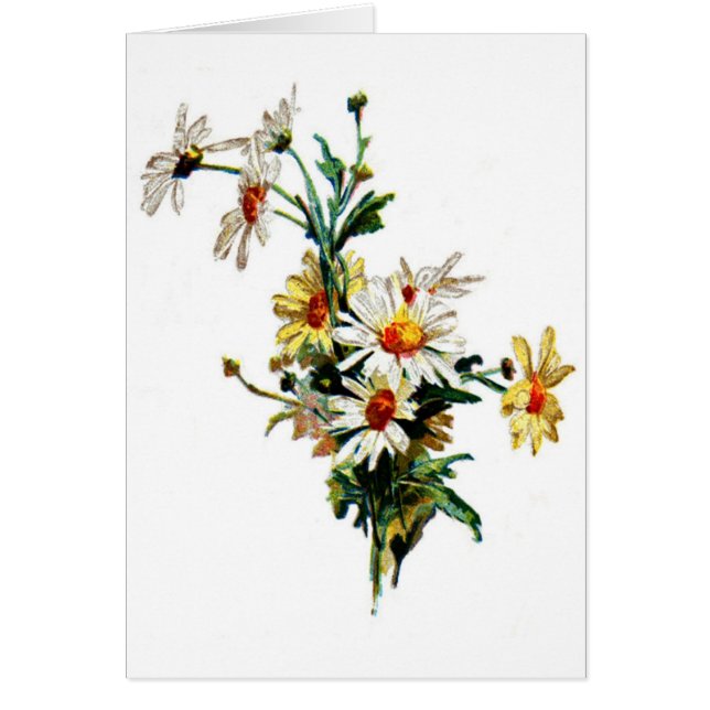 Art de fleur de Daisy* de *Vintage (Devant)