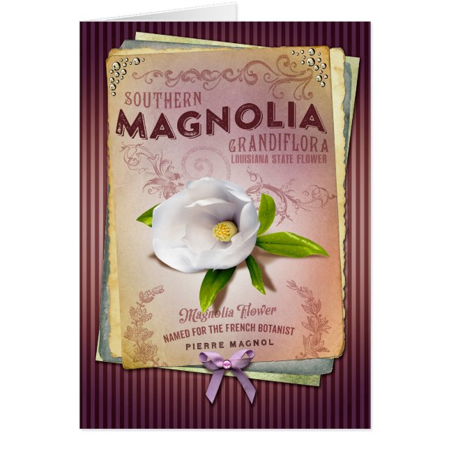 Art de fleur de magnolia de la Louisiane de (Devant)
