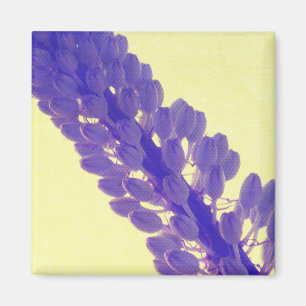 Art de fleur d'été - aimant