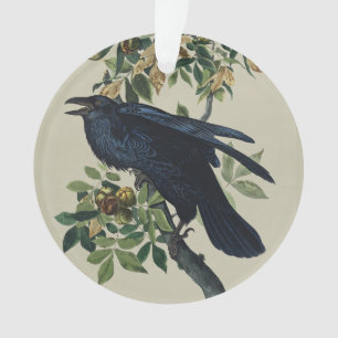 Art de la nature de l'oiseau corbeau Audubon vinta