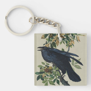 Art de la nature de l'oiseau corbeau Audubon vinta