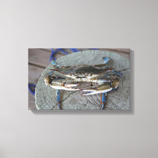 Art de la toile de la baie Chesapeake