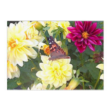 Art de papillon