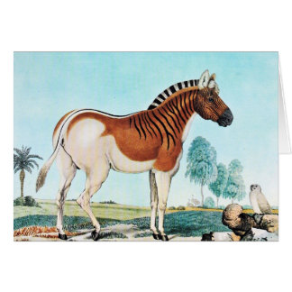 Art de Quagga d'aquarelle (zèbre)
