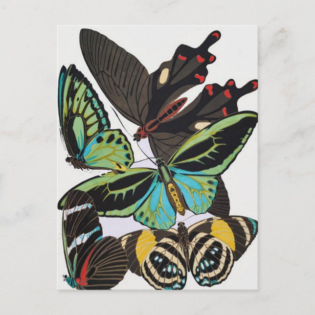 art deco butterflies postcard (Front)