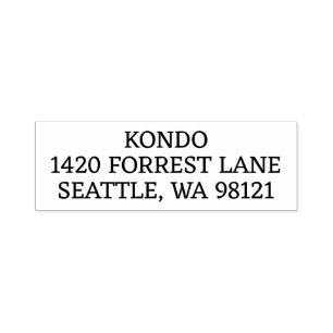 Art Deco Return Address Stamp with Clean Lines mak