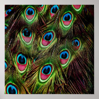 art deco teal green turquoise peacock feather