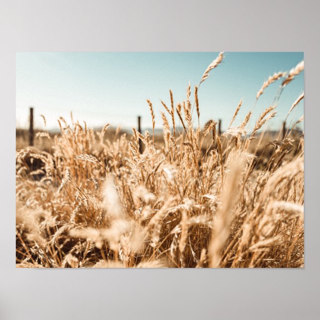 Art & Décor mural > Affiches et imprimés (Devant)