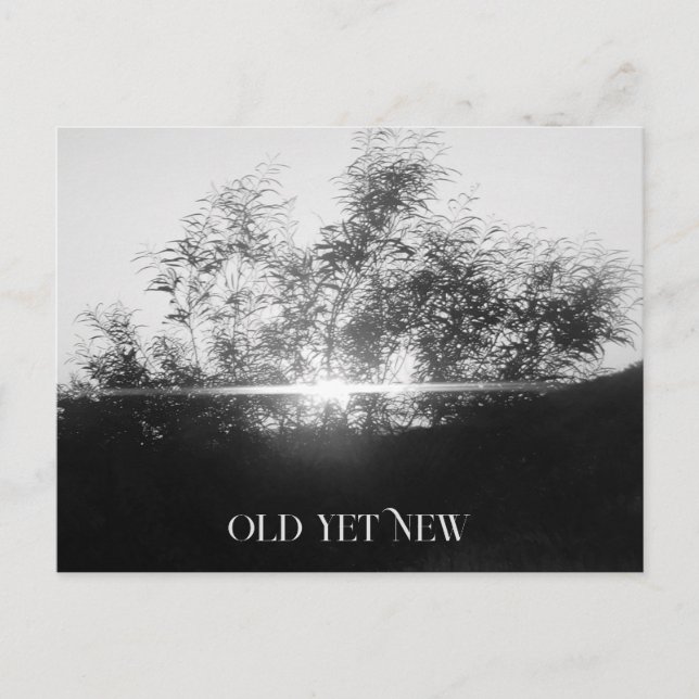 ART ET CONCEPTION DE LA CARTE POST (Devant)