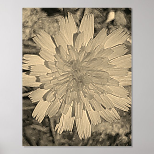 ART ET DESIGN D'AFFICHE À IMPRESSION DE FEUILLE D' (Recto)