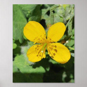 ART ET DESIGN DE POSTER À IMPRESSION MÉTALLISÉE