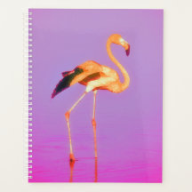 Art Flamant rose