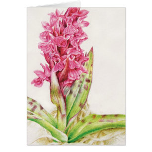 Art floral orchidée rose peint carte quotidienne