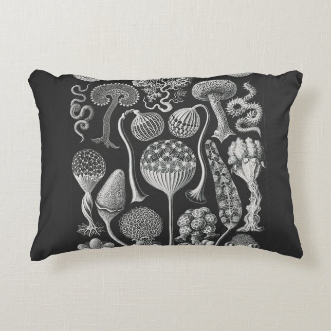  Art forms of nature  Accent Pillow (Front)