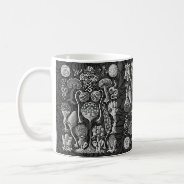  Art forms of nature Coffee Mug (Left)