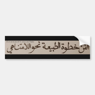 Art is a step from nature to the infinite sticke bumper sticker