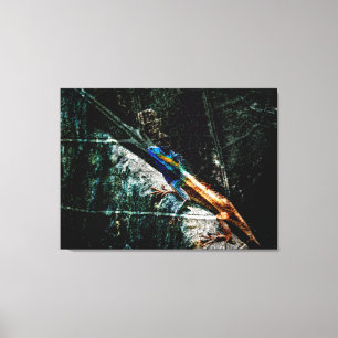 Art lizard on leaf canvas print