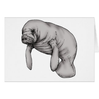 art manatee