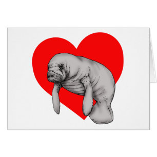 art manatee