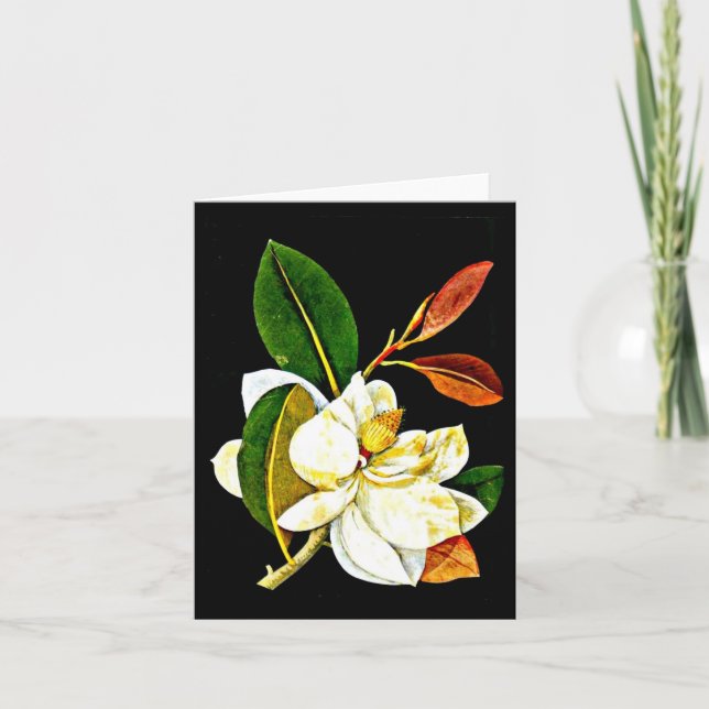 Art-Mary Carte pour notes-Botanique Delany 1 (Devant)
