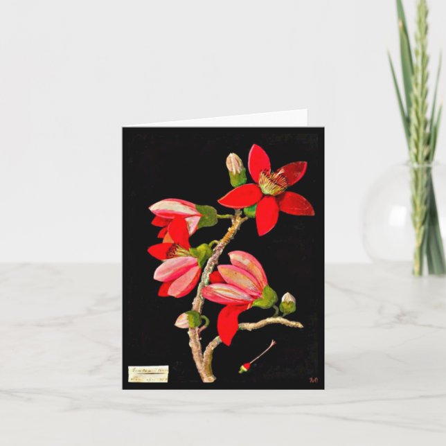 Art-Mary Carte pour notes-Botanique Delany 17 (Devant)