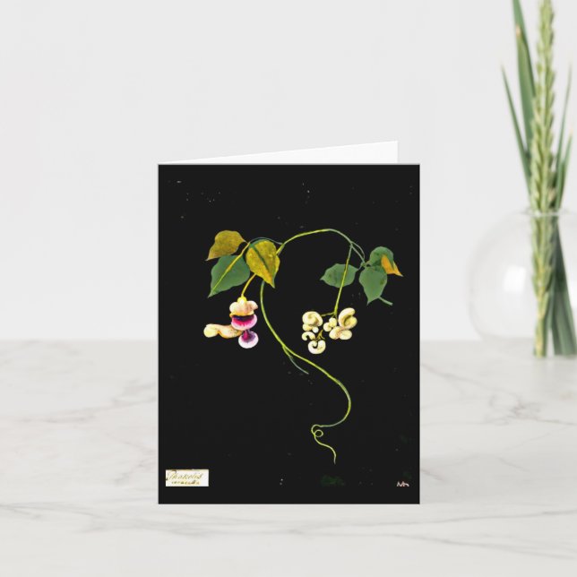 Art-Mary Carte pour notes-Botanique Delany 5 (Devant)