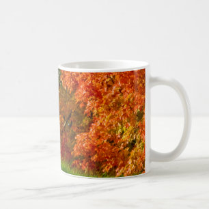 Art Mugs Fall Foliing