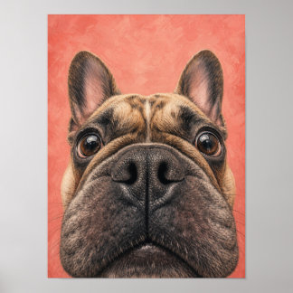 Art mural de Bouledogue français — Gros plan drôle